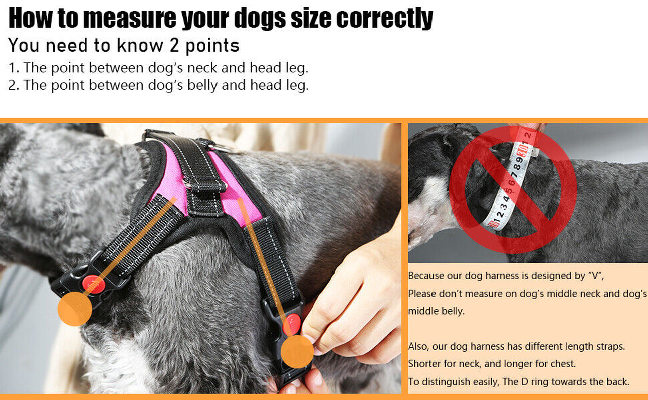 Dog Harness No Pull for Small Medium Large Dogs anti Pull Strong and Adjustable